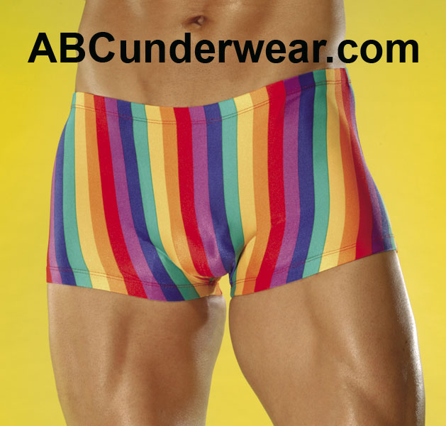 Rainbow Wonder Short Swimsuit