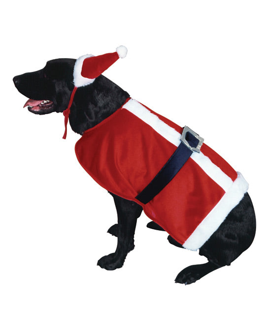 Santa Dog Costume