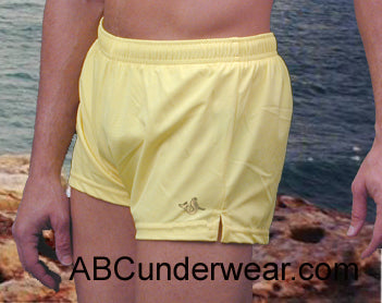 Sauvage Swim Trunks - Clearance-ABC Underwear-ABC Underwear