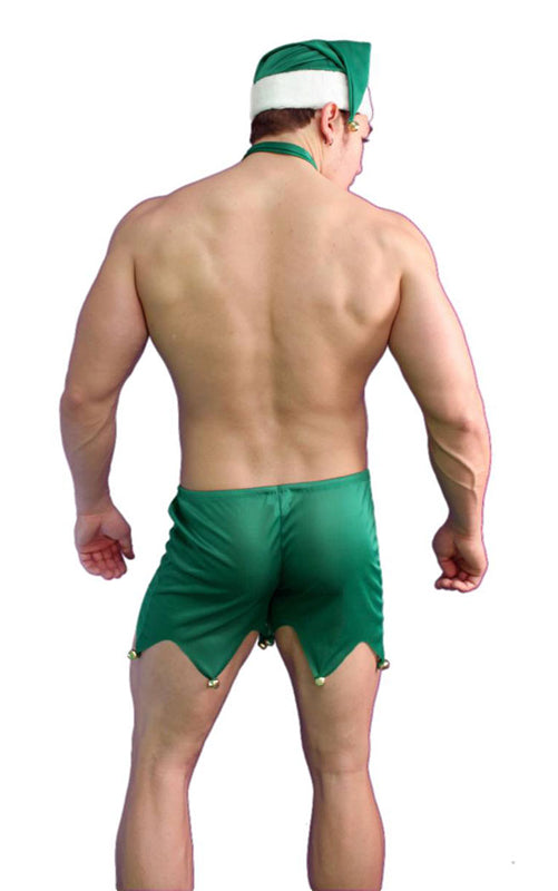 Sexy Mens Elf Costume Set