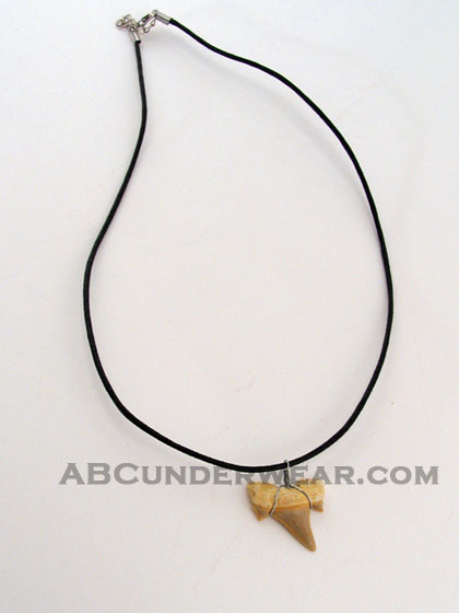 Shark Tooth Necklace