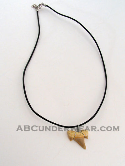 Shark Tooth Necklace