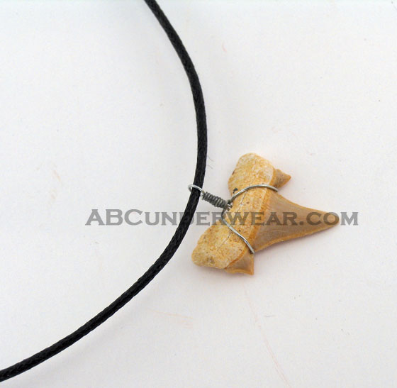 Shark Tooth Necklace