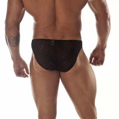 Sheer Black Panther Stripe Bikini-NDS Wear-ABC Underwear