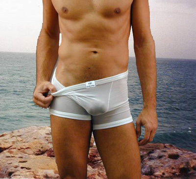 Sheer Loungewear Boxer