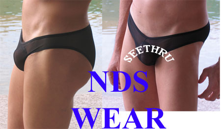Sheer Men's bikini