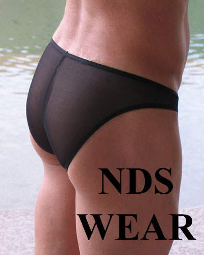 Sheer Men's bikini