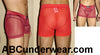 Sheer Net Boxer-NDS WEAR-ABC Underwear