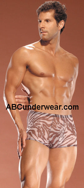 Sheer Zebra Pouch Short XL-ABC Underwear-ABC Underwear