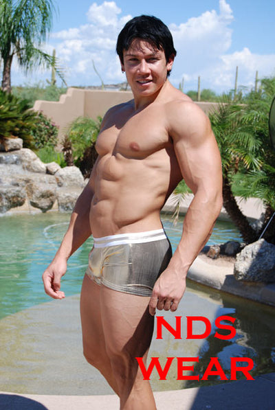 Silver Glimmer Men's Hot Short - Closeout