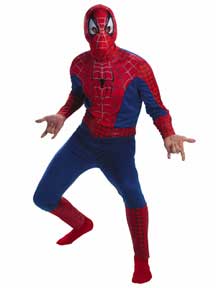 Spider Man Adult Costume