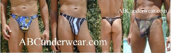 Stylish Patterned Net Thong: Elevate Your Lingerie Collection