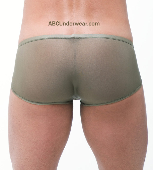 Torrid Trunk By Gregg Homme