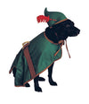 Elf dog costume-ABC Underwear-ABC Underwear