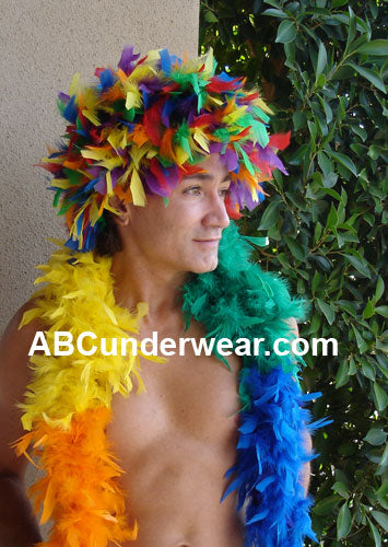 Rainbow Feather Wig
