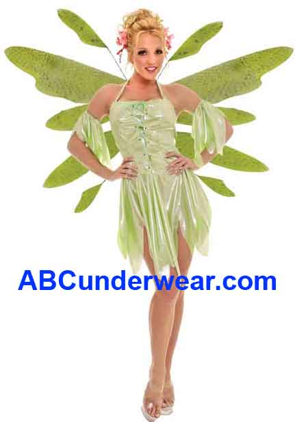Adult Fairy Costume