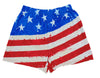 American Flag Patriotic Vintage Boxer-Briefly Stated-ABC Underwear