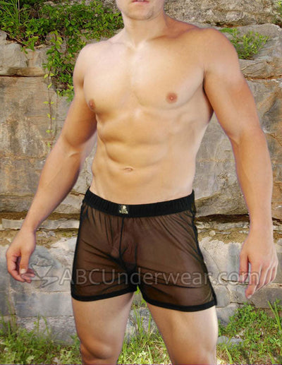 Angelo Sheer Mens Boxer - Clearance-NDS Wear-ABC Underwear