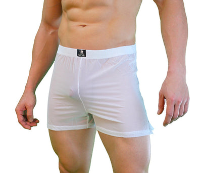 Angelo Sheer Mens Boxer - Clearance-NDS Wear-ABC Underwear