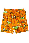 Angry Birds Pumpkin Pigs Boxer-Briefly Stated-ABC Underwear