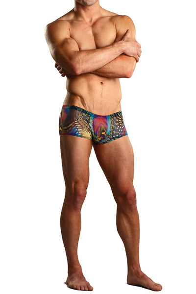 Aquarious Sheer Pouch Trunk Underwear-Male Power-ABC Underwear