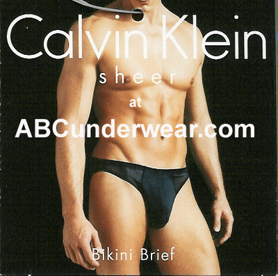 Calvin Klein Men's Sheer Bikini