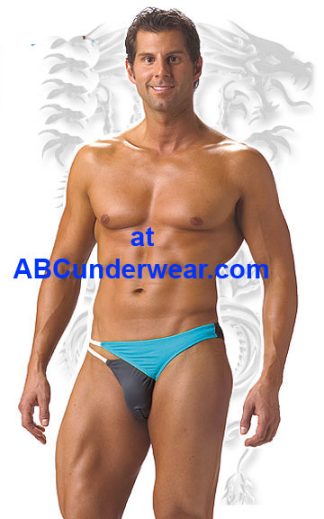 Cayman Brief Swimsuit