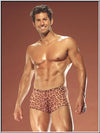 Cheetah Tricot Pouch Short - Clearance-Male Power-ABC Underwear