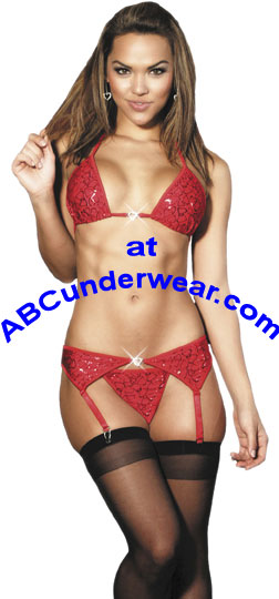 Clearance Sale: Exquisite Women's Lingerie Garter and Bra Set