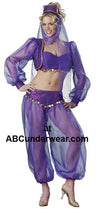 Deluxe Harem Fantasy Costume-In Character-ABC Underwear