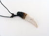 Eagle Head Tooth Necklace - Blowout Deals