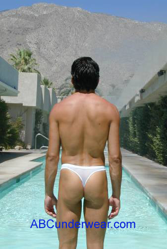 Elegant Sheer Mesh Thong for a Sensual and Sophisticated Appeal-ABC Underwear-ABC Underwear