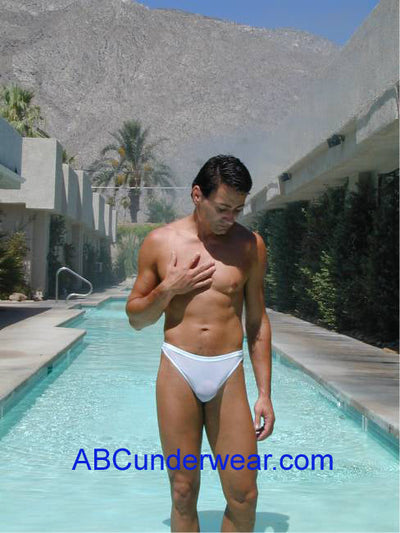 Elegant Sheer Mesh Thong for a Sensual and Sophisticated Appeal-ABC Underwear-ABC Underwear