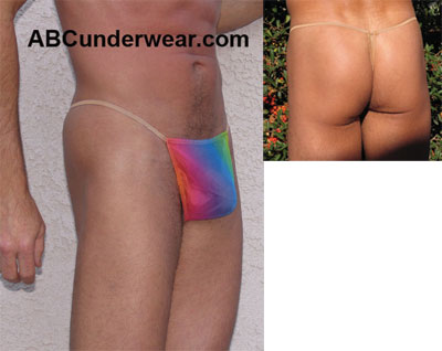 Elegant Sheer Rainbow G-Thong for a Stylish and Sensual Appeal
