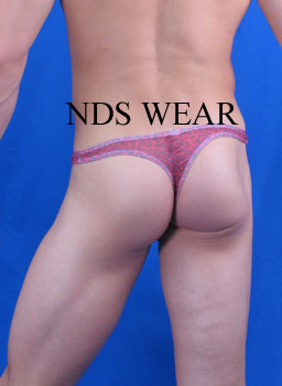 Elegant Sheer Red Cheetah Thong