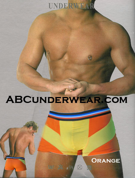 European Stripe Boxer