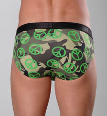 Evolution Brief