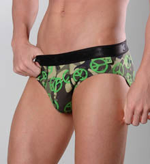Evolution Brief