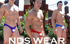 Felix's Net Bikini - Sheer Men's Underwear-NDS Wear-ABC Underwear
