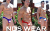 Felix's Net Bikini - Sheer Men's Underwear - BLOWOUT SALE!