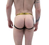 Gold Status Anatomic Mens Jock-NDS Wear-ABC Underwear
