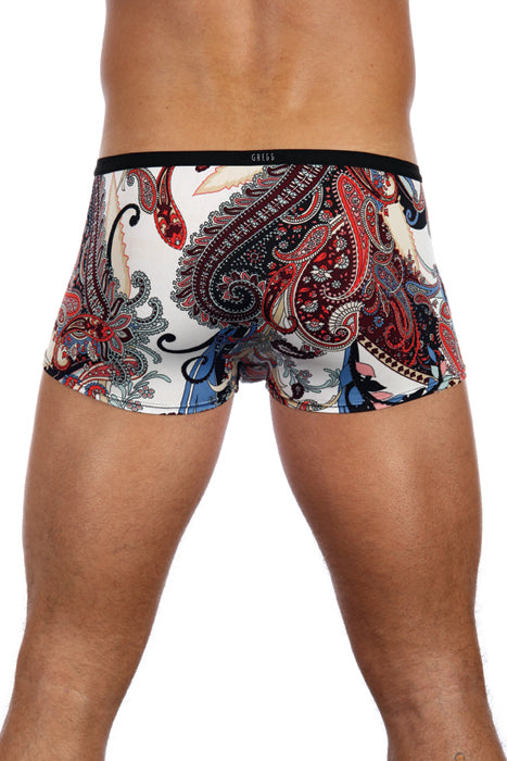 Gregg Havana Men's Desinger Trunk Underwear