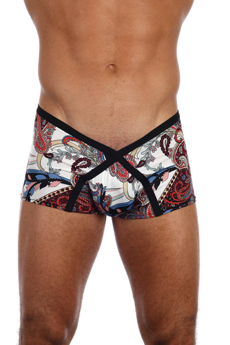 Gregg Havana Men's Desinger Trunk Underwear