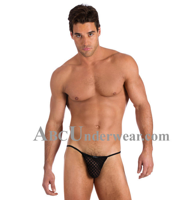 Gregg Homme After Hours String