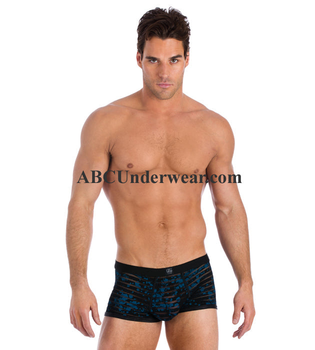 Gregg Homme  Men and underwear