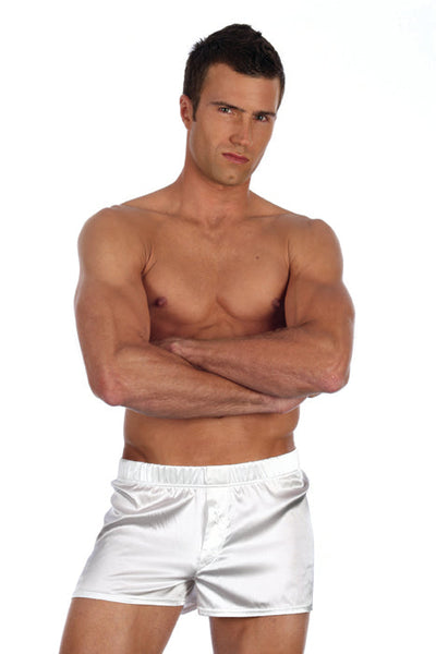 Gregg Homme Silk Spandex Boxers-Gregg Homme-ABC Underwear