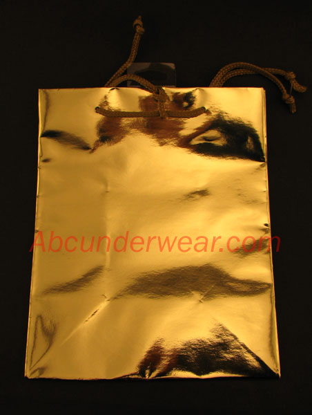Holiday Gift Bag W/ Tissue