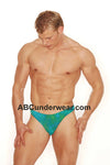 Key West Carribean Coastline Bikini-Greg Parry-ABC Underwear