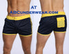 LASC Mesh Squarecut Swimsuit-LASC-ABC Underwear