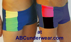 LASC Panel Squarecut Swimsuit